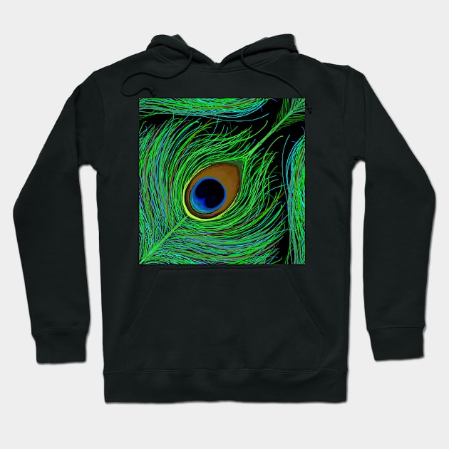 Peacock Print Hoodie by exentric-wren